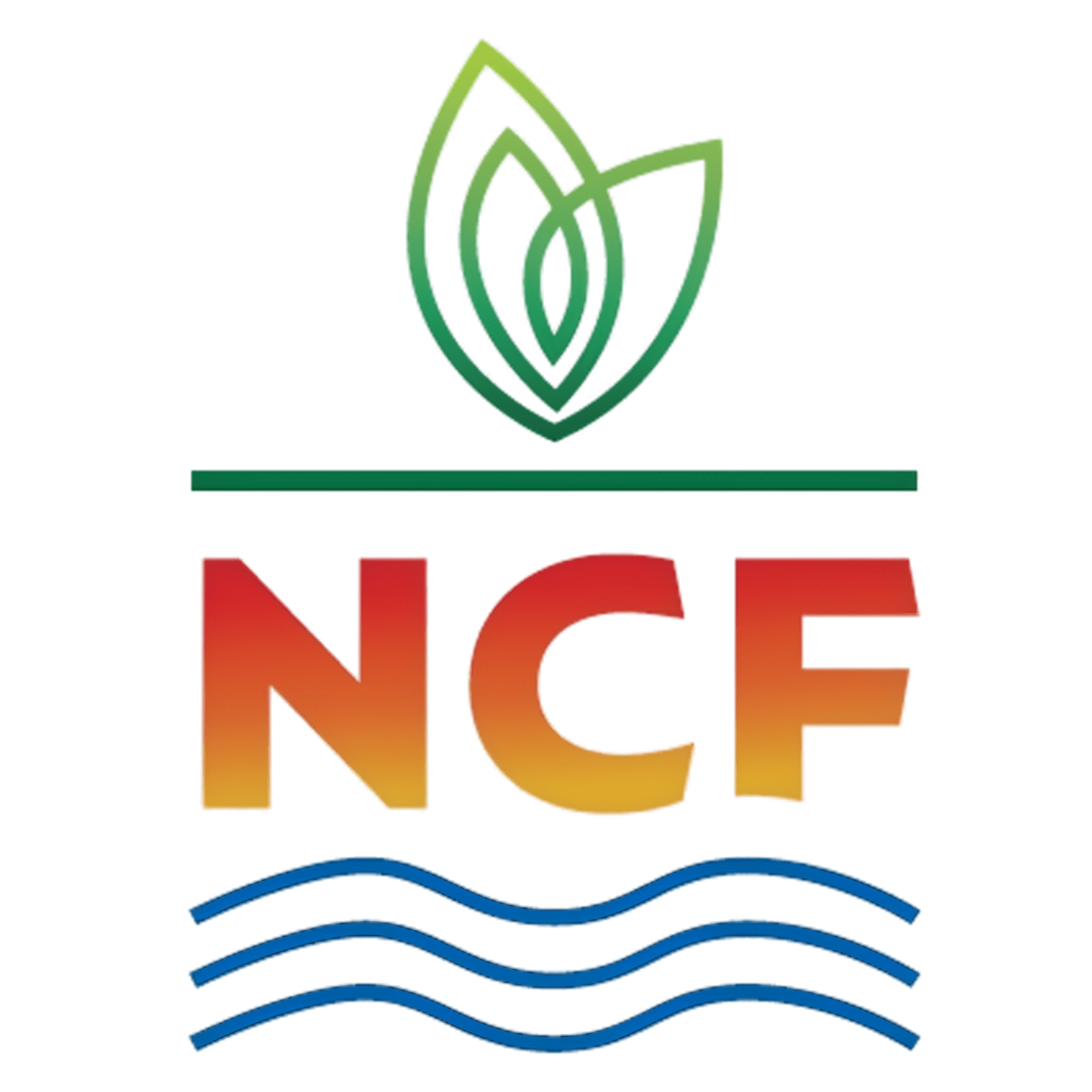 NCF Exports